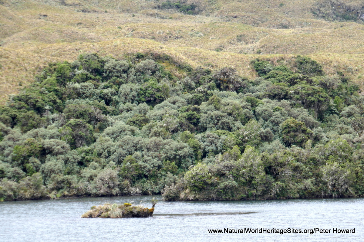 Sangay National Park Natural World Heritage Sites