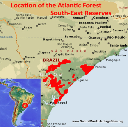 Atlantic Forest South-East Reserves - UNESCO World Heritage Centre