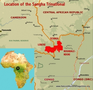 Sangha Trinational | Natural World Heritage Sites