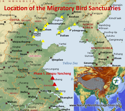 Bird Sanctuaries along the coast of Yellow Sea-Bohai Gulf China | Natural World Heritage