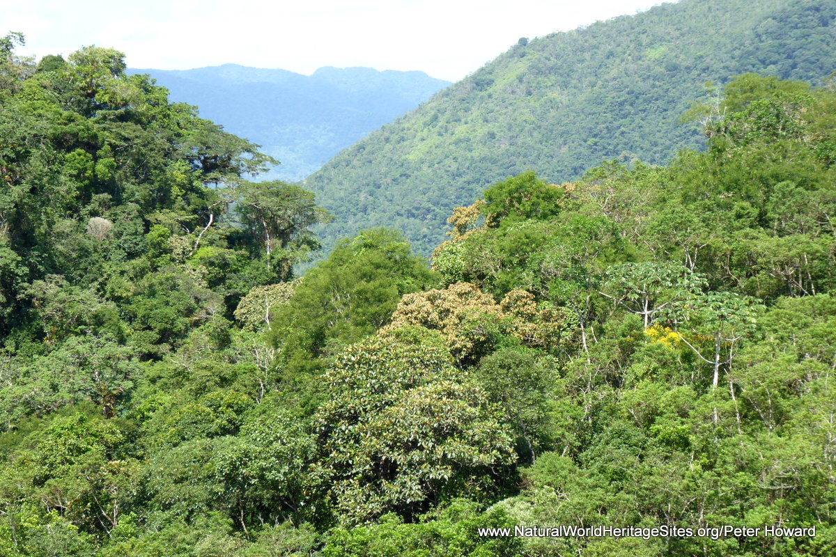 Atlantic Forest South-East Reserves World Heritage Site