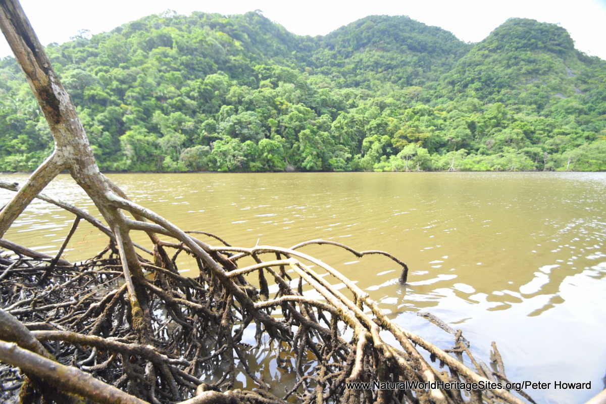 Atlantic Forest South-East Reserves in Brazil