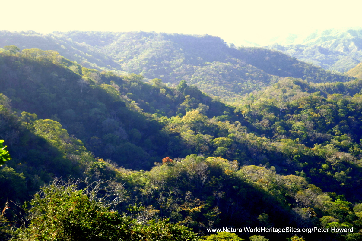 Area De Conservacion Guanacaste Natural World Heritage Sites 9278