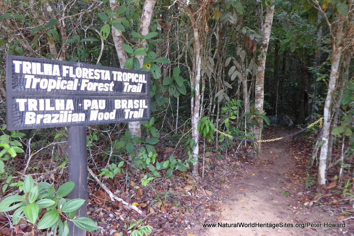 Discovery Coast Atlantic Forest Reserves - UNESCO World Heritage