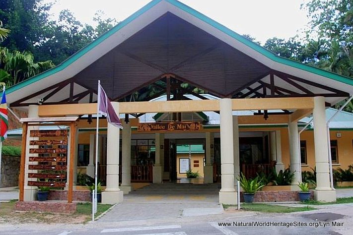 Vallée de Mai Nature Reserve | Natural World Heritage Sites