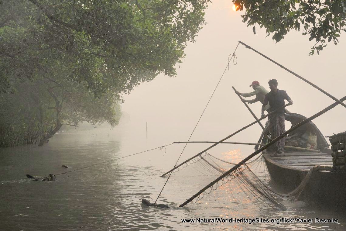 Indian fisherman. editorial photography. Image of sundarban - 14733187